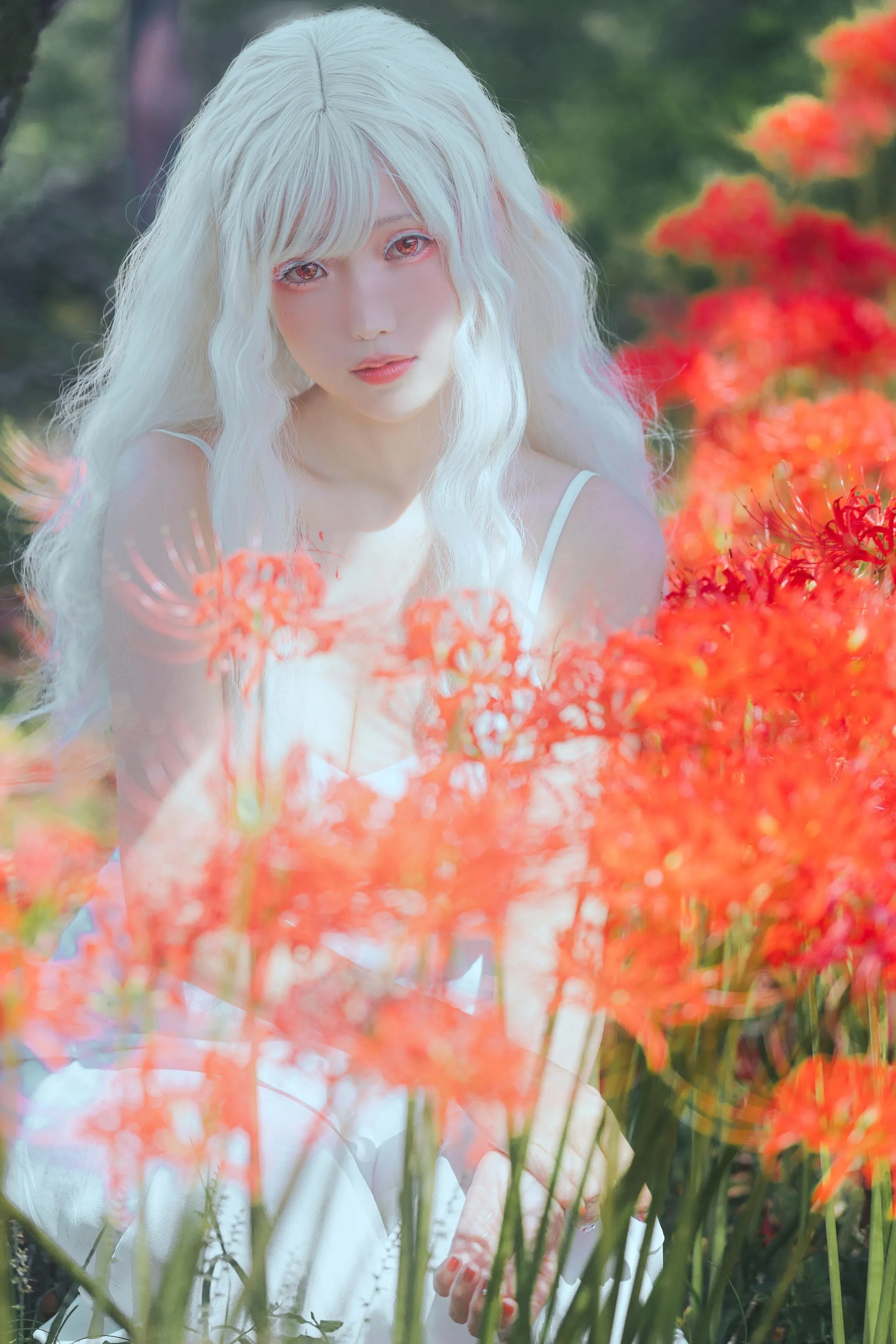 ElyEE子 – NO.129 23年10月订阅-B-White spider lily 白瓷彼岸 [27P]插图1